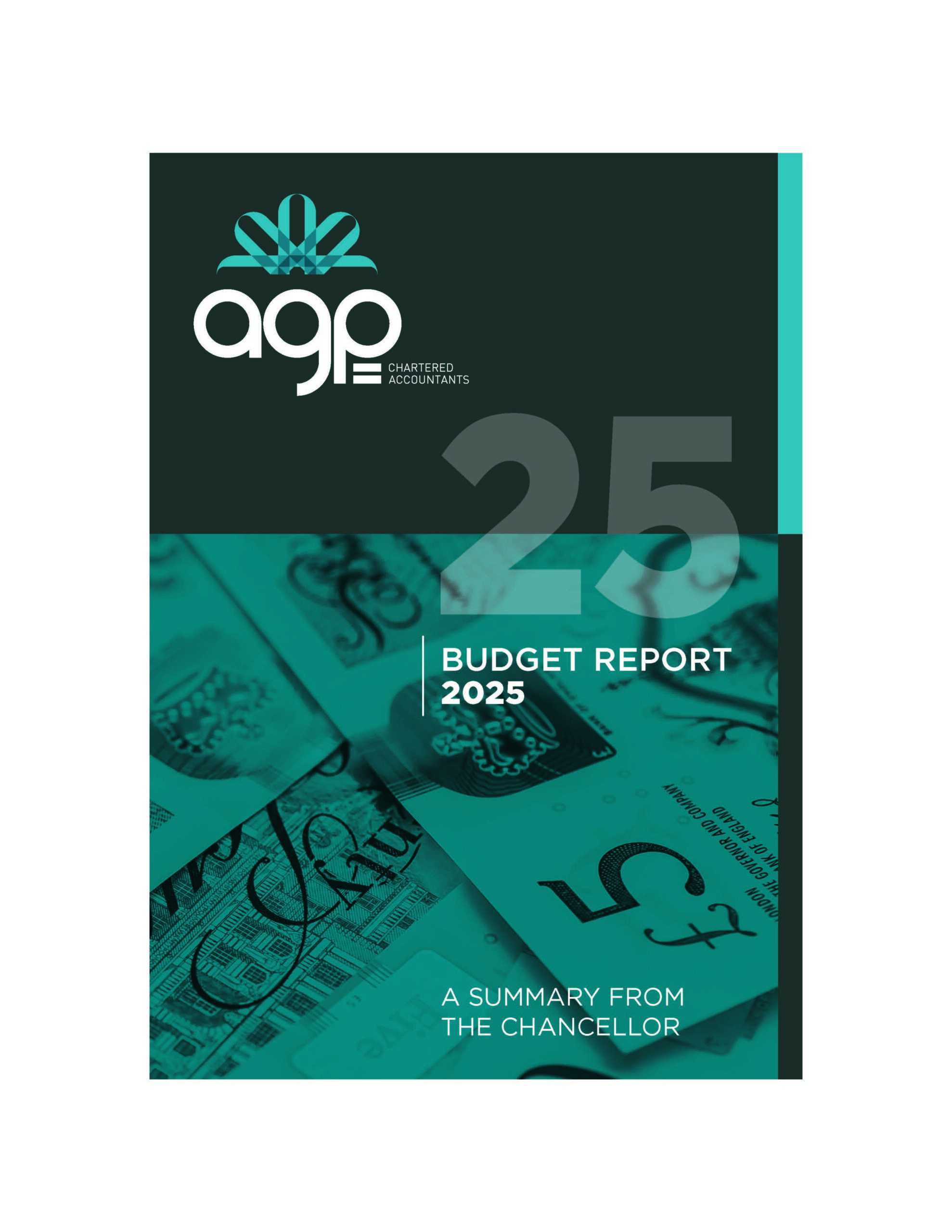 2025 Budget